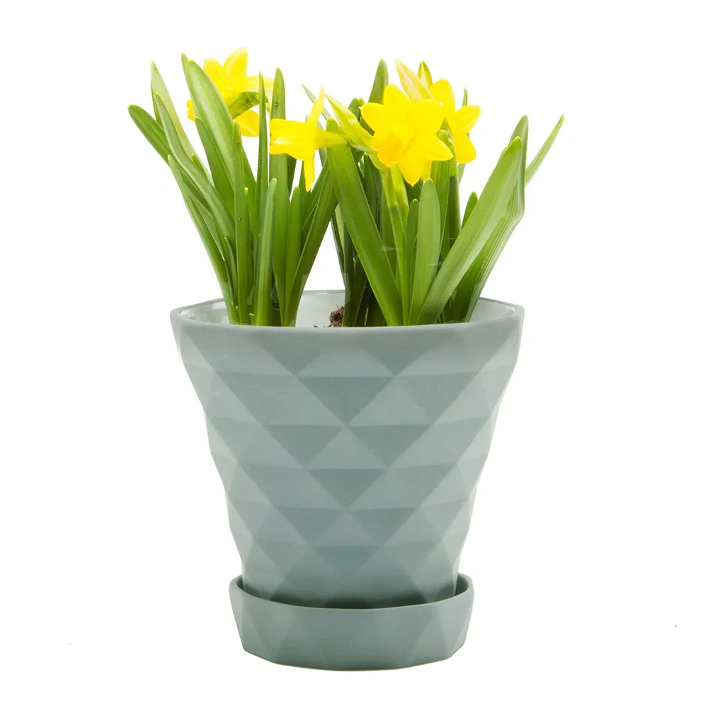 Big Diamond Planter