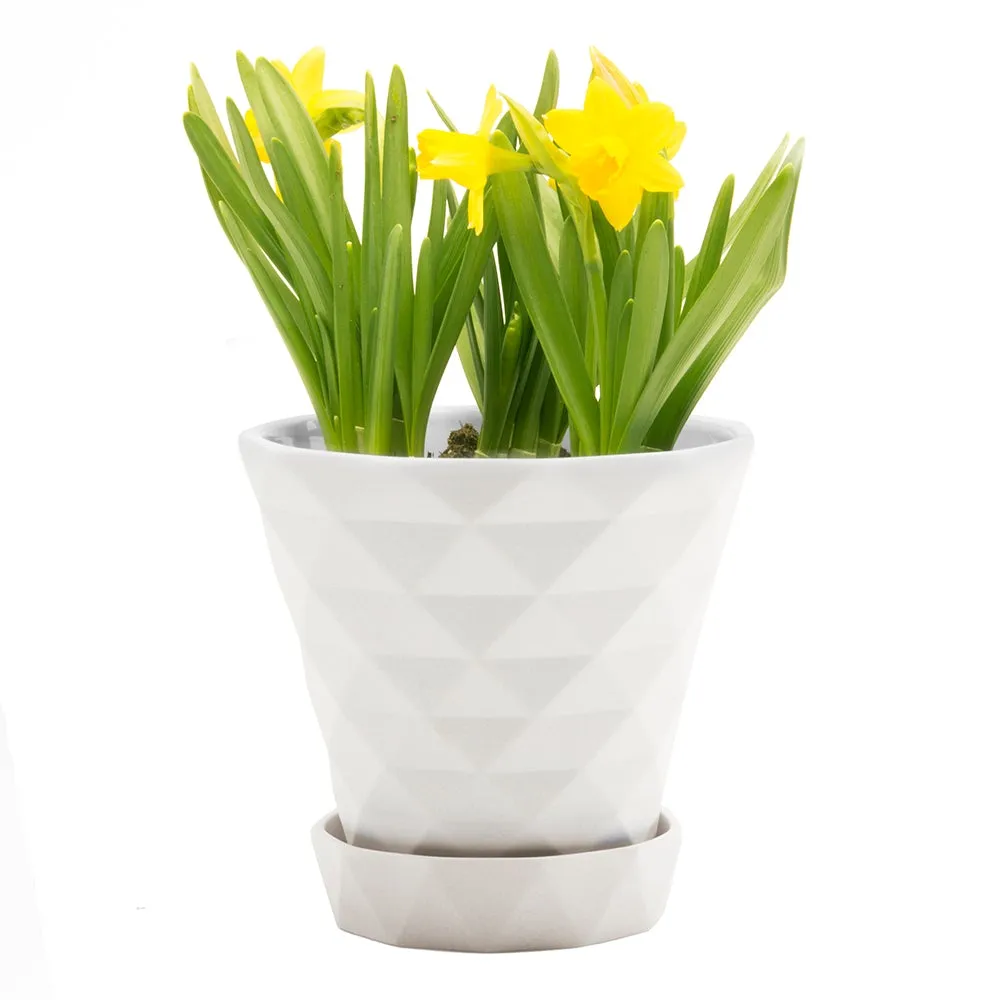 Big Diamond Planter
