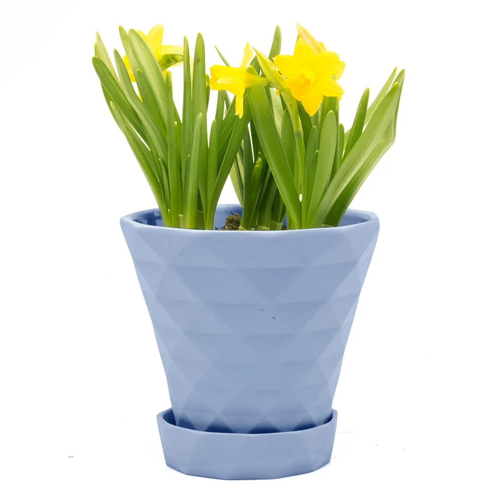 Big Diamond Planter