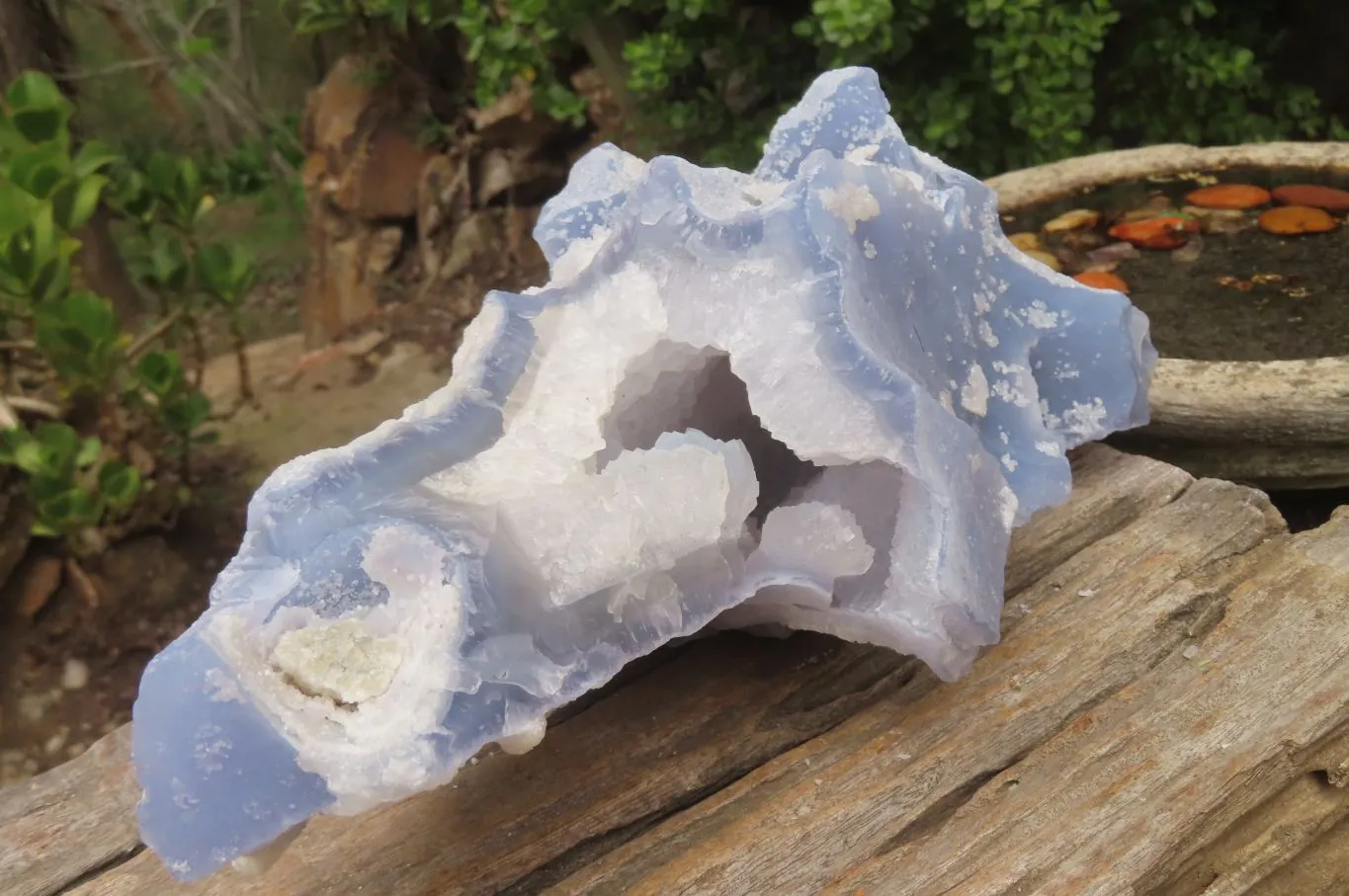 Natural Etched Blue Chalcedony Geode Specimen x 1 From Malawi