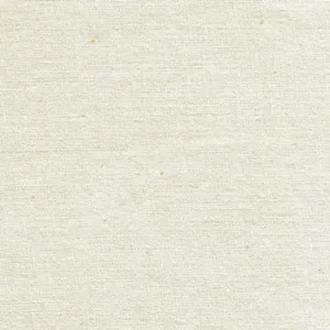 Peppered Cotton in Oyster by Pepper Cory for Studio E