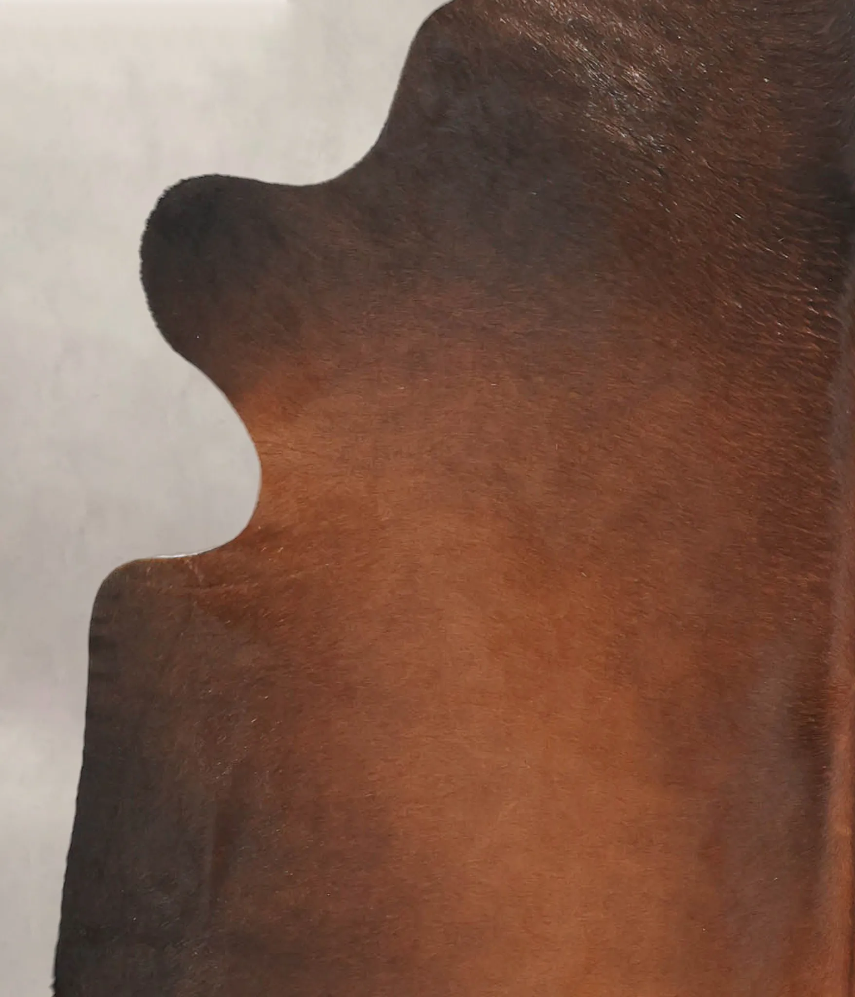 Warm Caramel Large Brazilian Cowhide Rug 5'11"H x 5'7"W #B1110 by Hudson Hides