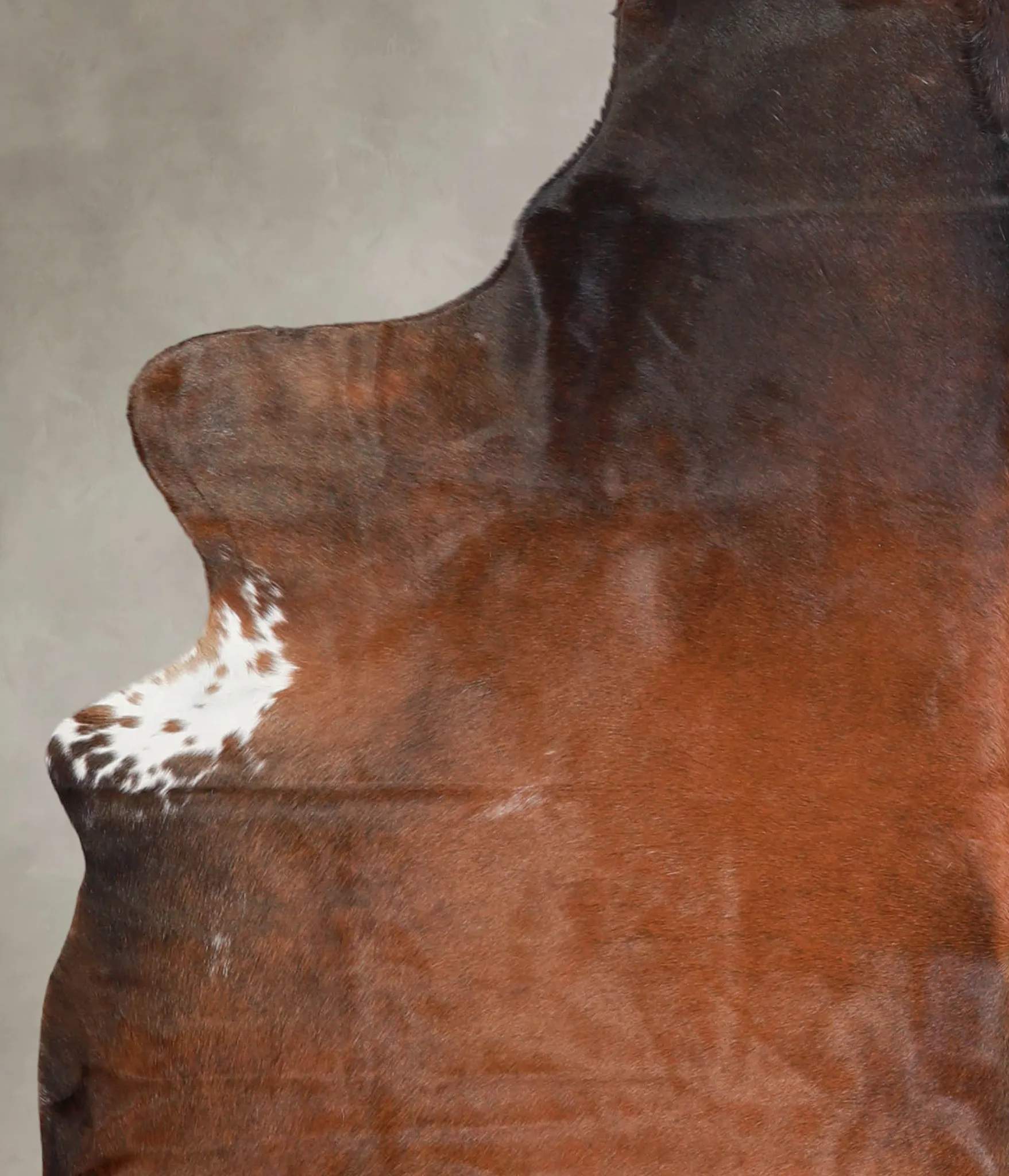 Warm Caramel X-Large Brazilian Cowhide Rug 6'11"H x 5'10"W #A24117 by Hudson Hides