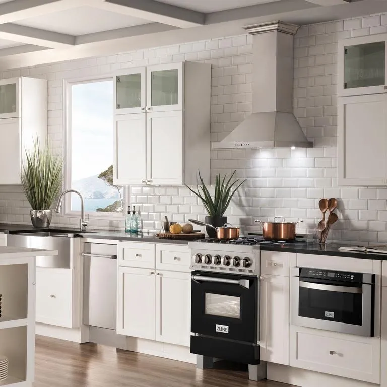 ZLINE 24 in. Professional Dual Fuel Range in DuraSnow® Stainless Steel with Black Matte Door (RAS-BLM-24)